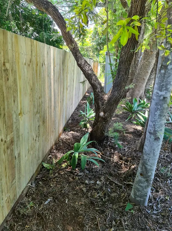 New timber fence beside an established garden and palms